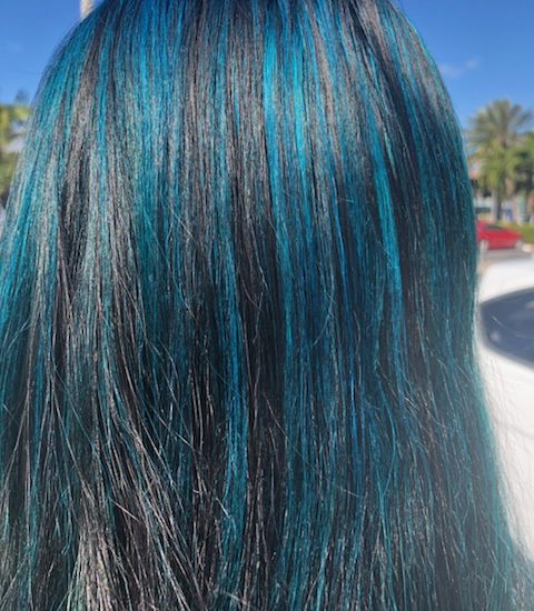 Vibrant Blue Highlights on black hair.